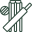Cricket